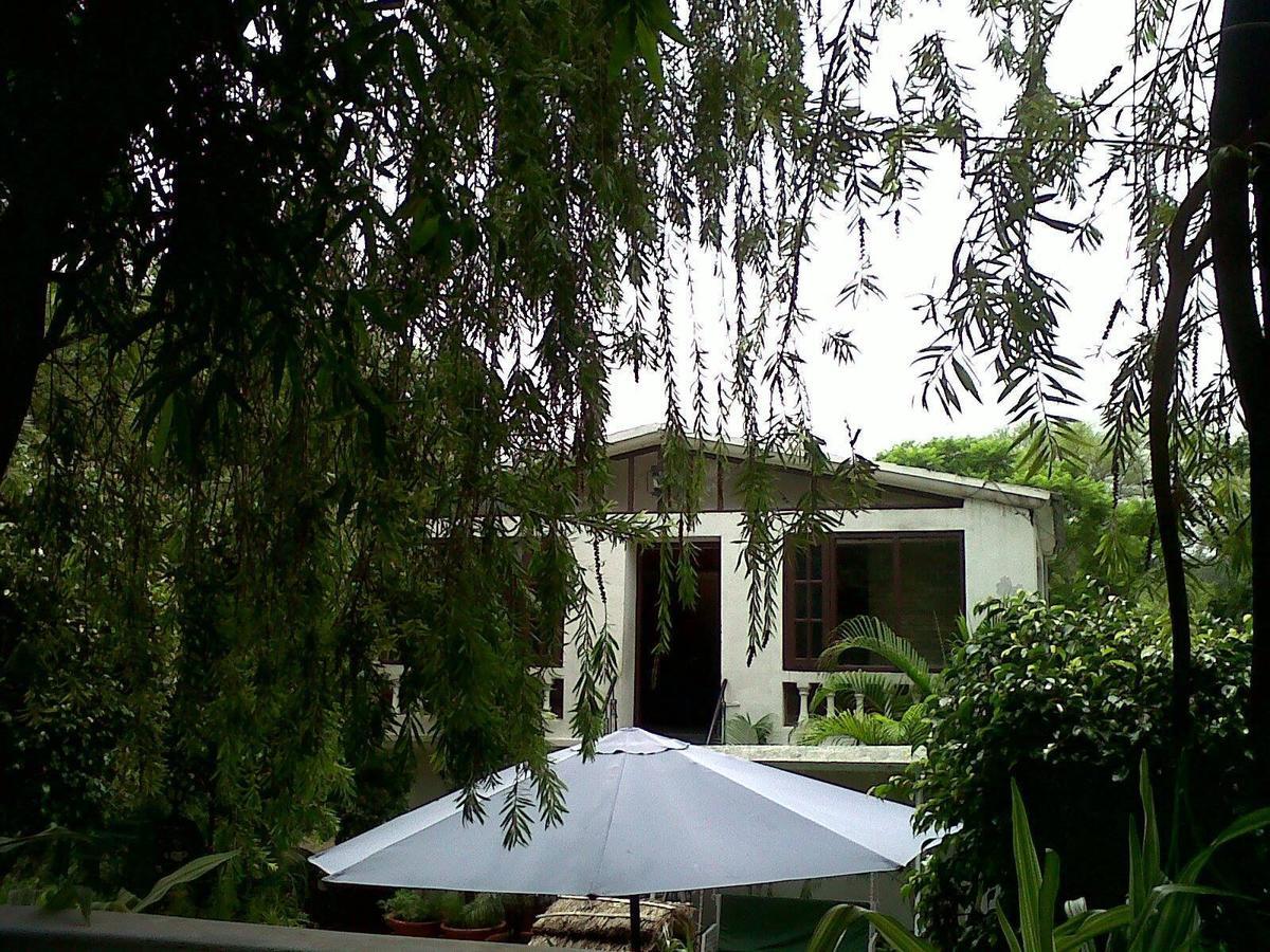 Siswan Jungle Lodge Baddi ภายนอก รูปภาพ